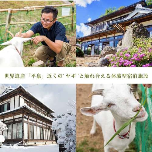 One rental per day] Hands-on experience with "goats" near the World Heritage Site of Hiraizumi.