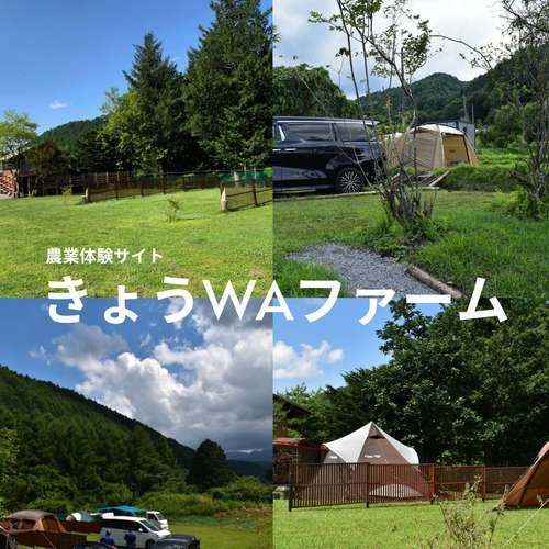 First Time Only Plan】Farm x Camping. Members-only campsite ｜Kyo WA Farm Agricultural Experience Site