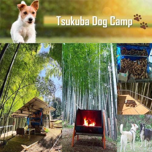 Private pet friendly campsite with a 100 tsubo garden and container house at the foot of Mt.